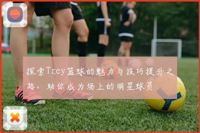 探索Trey篮球的魅力与技巧提升之路，助你成为场上的明星球员