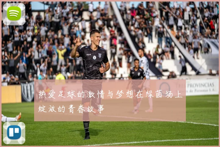 热爱足球的激情与梦想在绿茵场上绽放的青春故事