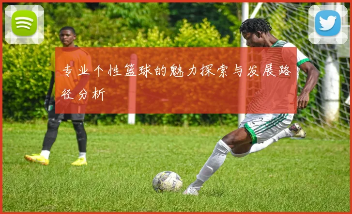 专业个性篮球的魅力探索与发展路径分析