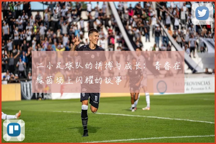 二小足球队的拼搏与成长：青春在绿茵场上闪耀的故事