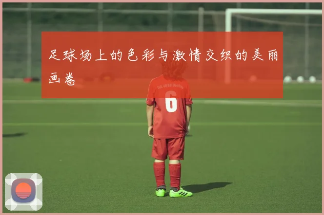 足球场上的色彩与激情交织的美丽画卷