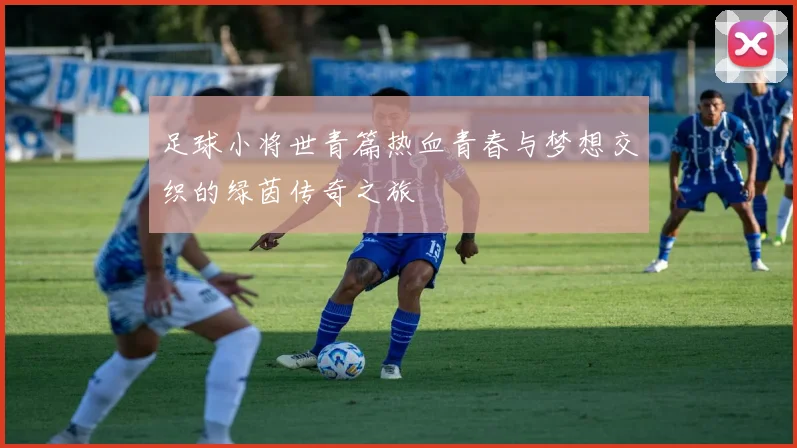 足球小将世青篇热血青春与梦想交织的绿茵传奇之旅