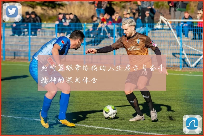 轮椅篮球带给我的人生启示与奋斗精神的深刻体会